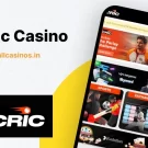 7cric Casino