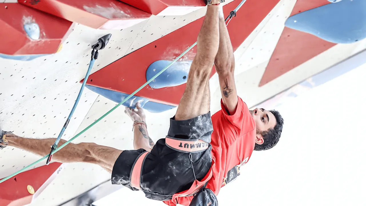 Reach New Heights: Paris 2024 Olympics Sport Climbing Preview