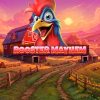 Rooster Mayhem