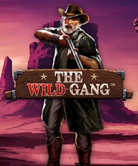 The Wild Gang