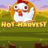 Hot Harvest