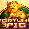 Magic Piggy