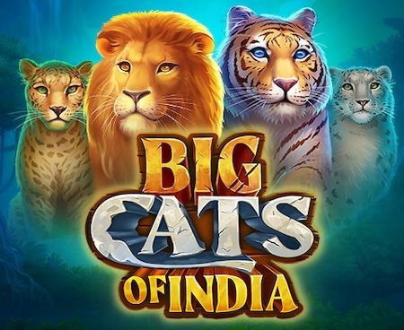 Big Cats Of India