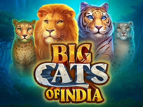 Big Cats Of India